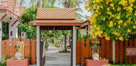 rehab in thailand|rehab phuket.
